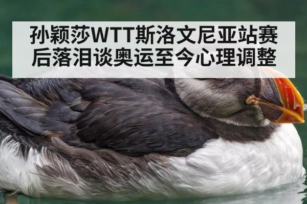 孙颖莎WTT斯洛文尼亚站赛后落泪谈奥运至今心理调整